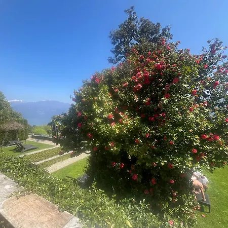 Otel Relais Margherita Oggebbio